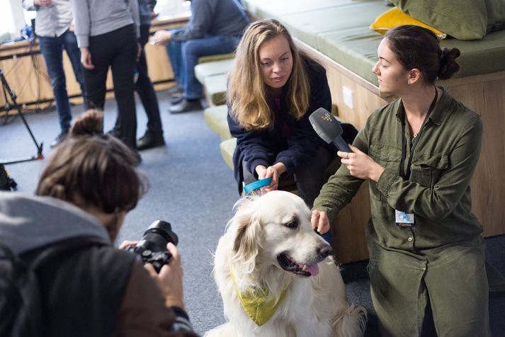 Фото: Олександр Попенко