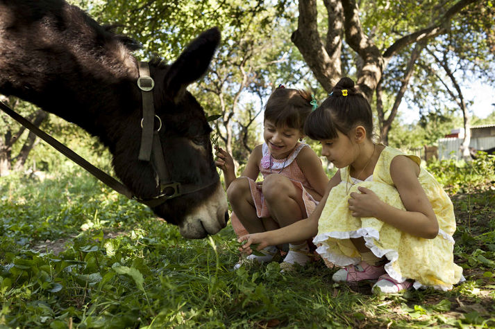 Харьков, август 2011.
Детский дом в Харькове.
Детский дом "Зеленый гай" в Харькове стал приютом, не только для обычных сирот, но и для ВИЧ-позитивных детей. Этот детский дом один из немногих в Украине, где детям с ВИЧ уделяетя особое внимание. Для детей проводятся специальные гимнастические занятия, а также применяется пет-терапия (лечение с помощью животных). Кроме того, есть специальное отделение для новорожденных, специально оборудованное для ухода за такими детьми.